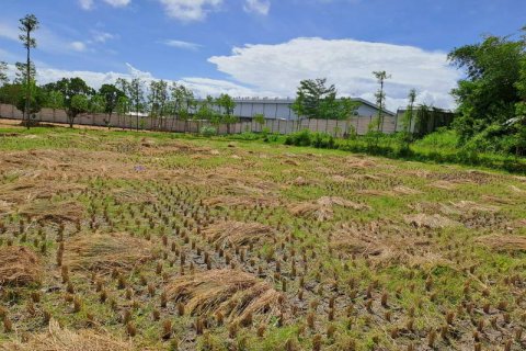 4600m2 Land in Indonesia No. 7802 14