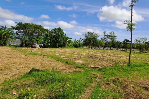 4600m2 Land in Indonesia No. 7802 12