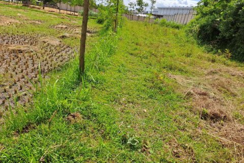 4600m2 Land in Indonesia No. 7802 3