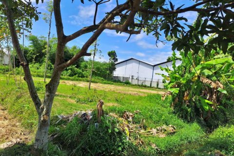 4600m2 Land in Indonesia No. 7802 5