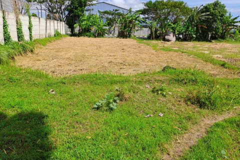 4600m2 Land in Indonesia No. 7802 15
