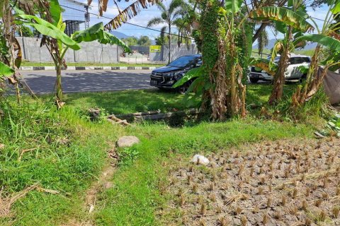 4600m2 Land in Indonesia No. 7802 6