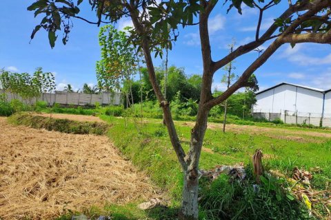 4600m2 Land in Indonesia No. 7802 17