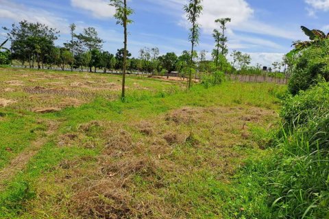 4600m2 Land in Indonesia No. 7802 8