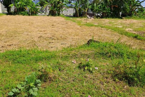 4600m2 Land in Indonesia No. 7802 9