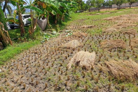 4600m2 Land in Indonesia No. 7802 4