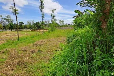4600m2 Land in Indonesia No. 7802 2