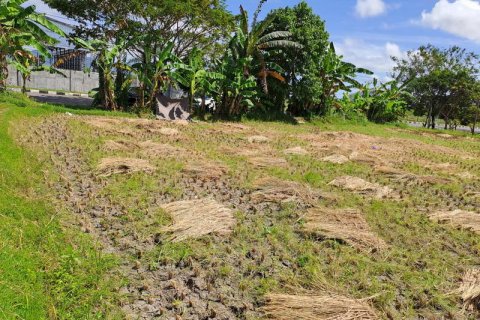 4600m2 Land in Indonesia No. 7802 13