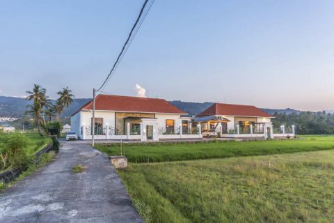Вилла с 3 спальнями в Lovina, Антуран, Булеленг, Индонезия № 7801 13