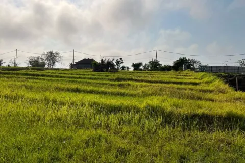 Land in Cemagi, Mengwi, Badung, Indonesia No. 10330 8