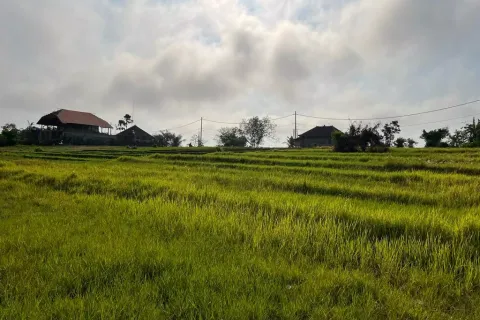 Land in Cemagi, Mengwi, Badung, Indonesia No. 10330 7
