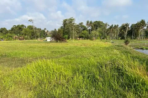 Land in Cemagi, Mengwi, Badung, Indonesia No. 10330 5