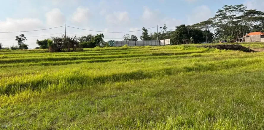 Land in Cemagi, Mengwi, Badung, Indonesia No. 10331