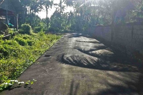 Land in Abiansemal, Badung, Indonesia No. 1887 2