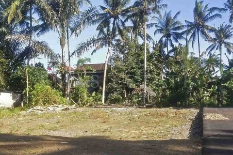 Land in Abiansemal, Badung, Indonesia No. 1887 4