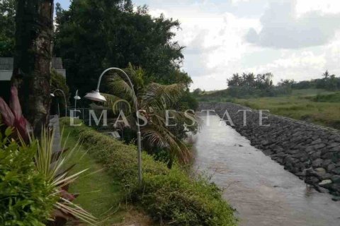 6 bedrooms Villa in Blahbatuh, Gianyar, Indonesia No. 1884 6