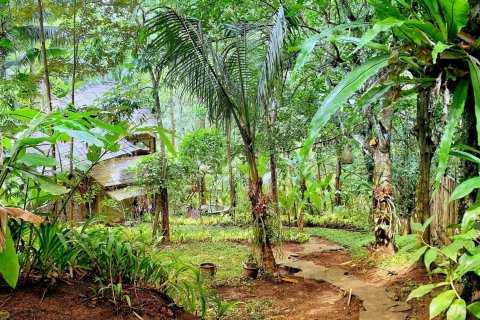 1 bedroom Villa in Ubud, Gianyar, Indonesia No. 1874