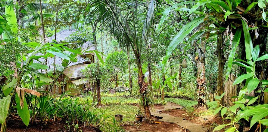 1 bedroom Villa in Ubud, Gianyar, Indonesia No. 1874