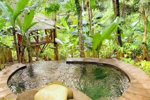 1 bedroom Villa in Ubud, Gianyar, Indonesia No. 1874 2