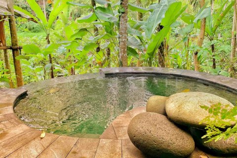 1 bedroom Villa in Ubud, Gianyar, Indonesia No. 1874 3