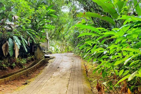 1 bedroom Villa in Ubud, Gianyar, Indonesia No. 1874 13