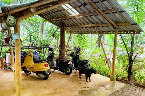 1 bedroom Villa in Ubud, Gianyar, Indonesia No. 1874 14