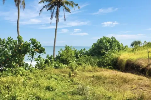 Land in Tabanan, Indonesia No. 10240 3