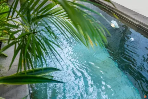 2 bedrooms Villa in Badung, Indonesia No. 10654 17