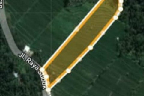 Земельный участок 12000м2 в Lovina, Антуран, Булеленг, Индонезия № 7781 4