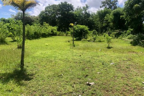 2000m2 Land in South Kuta, Badung, Indonesia No. 7780 7
