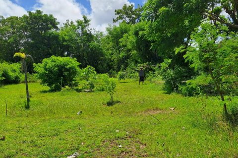 2000m2 Land in South Kuta, Badung, Indonesia No. 7780 13
