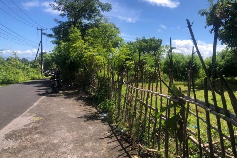 2000m2 Land in South Kuta, Badung, Indonesia No. 7780 6