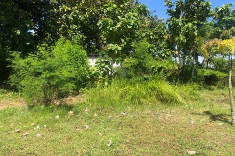 2000m2 Land in South Kuta, Badung, Indonesia No. 7780 9