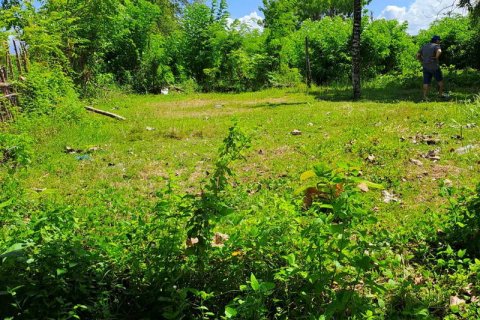 2000m2 Land in South Kuta, Badung, Indonesia No. 7780 12