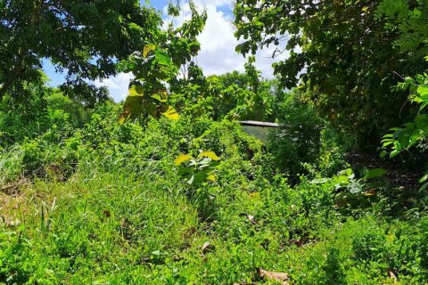 2000m2 Land in South Kuta, Badung, Indonesia No. 7780 11