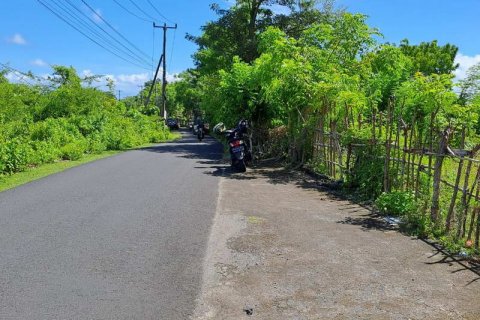 2000m2 Land in South Kuta, Badung, Indonesia No. 7780 4