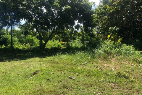 2000m2 Land in South Kuta, Badung, Indonesia No. 7780