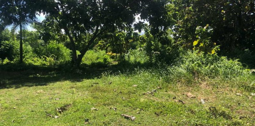 2000m2 Land in South Kuta, Badung, Indonesia No. 7780