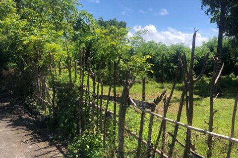 2000m2 Land in South Kuta, Badung, Indonesia No. 7780 5