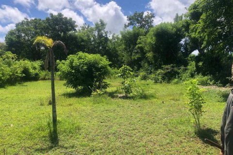 2000m2 Land in South Kuta, Badung, Indonesia No. 7780 2
