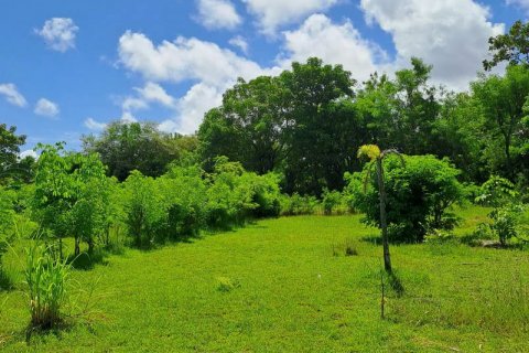 2000m2 Land in South Kuta, Badung, Indonesia No. 7780 14