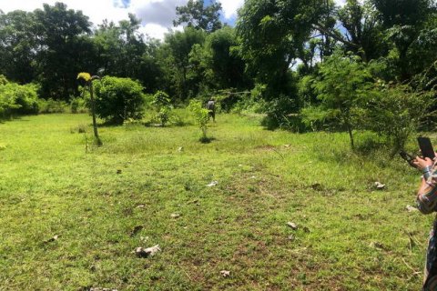 2000m2 Land in South Kuta, Badung, Indonesia No. 7780 3