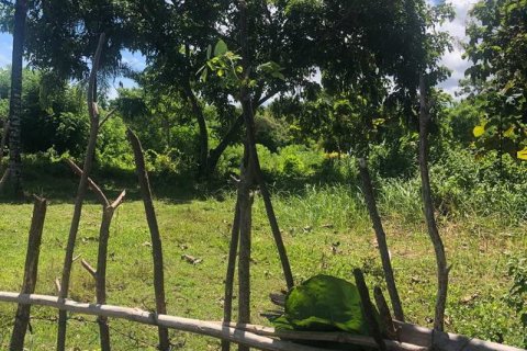 2000m2 Land in South Kuta, Badung, Indonesia No. 7780 8