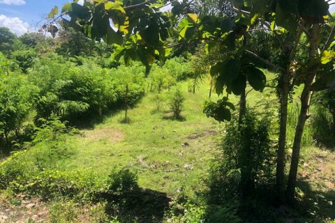 2000m2 Land in South Kuta, Badung, Indonesia No. 7780 10
