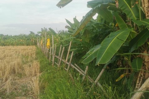Land in Kuta, Badung, Indonesia No. 10884 3