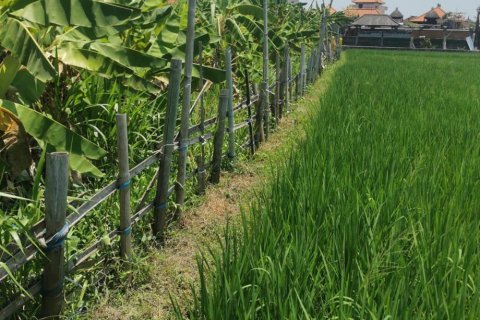Land in Kuta, Badung, Indonesia No. 10884 2