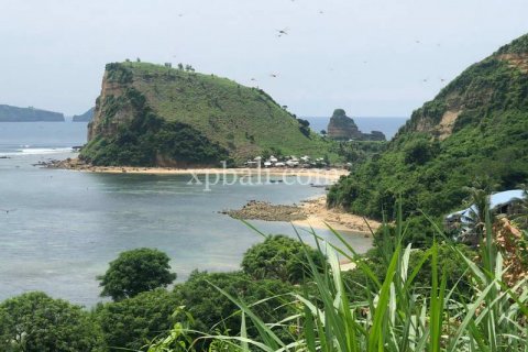 12400m2 Land in Indonesia No. 7825