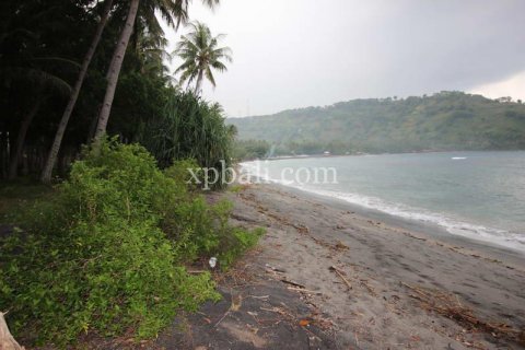 12000m2 Land in Indonesia No. 7824
