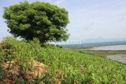 16000m2 Land in Indonesia No. 7827 13