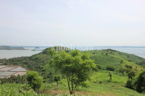 16000m2 Land in Indonesia No. 7827 9